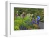 VanDusen Gardens, Vancouver, British Columbia, Canada, North America-Richard Cummins-Framed Photographic Print