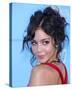 Vanessa Anne Hudgens-null-Stretched Canvas