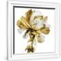 Gramercy White