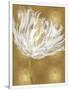 Gramercy White