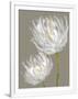Gramercy White