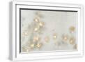 White Frame