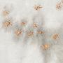 Laminate