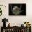 Vanessa Cardui (Painted Lady Butterfly)-Paul Starosta-Framed Photographic Print displayed on a wall