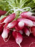 A Bunch of Radishes-Vanessa Colin-Stretched Canvas