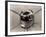 Vanguard I Satellite-null-Framed Photographic Print