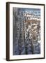 Vanguard Line of Terracotta Warriors, China-George Oze-Framed Photographic Print