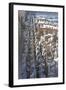 Vanguard Line of Terracotta Warriors, China-George Oze-Framed Photographic Print