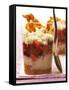 Vanilla Rice with Berries and Almond Praline-Uwe Bender-Framed Stretched Canvas