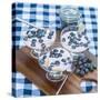 Vanilla Yoghurt with Fresh Blueberries for Breakfast-Veneratio-Stretched Canvas