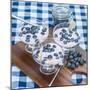 Vanilla Yoghurt with Fresh Blueberries for Breakfast-Veneratio-Mounted Photographic Print