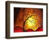 Vanished Dreams-Megan Aroon Duncanson-Framed Art Print