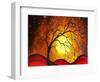 Vanished Dreams-Megan Aroon Duncanson-Framed Art Print