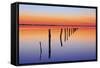 Vanishing Fence Line-Wayne Bradbury-Framed Stretched Canvas