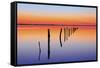 Vanishing Fence Line-Wayne Bradbury-Framed Stretched Canvas