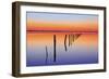 Vanishing Fence Line-Wayne Bradbury-Framed Photographic Print