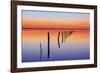 Vanishing Fence Line-Wayne Bradbury-Framed Photographic Print