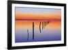 Vanishing Fence Line-Wayne Bradbury-Framed Photographic Print