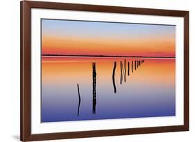 Vanishing Fence Line-Wayne Bradbury-Framed Photographic Print