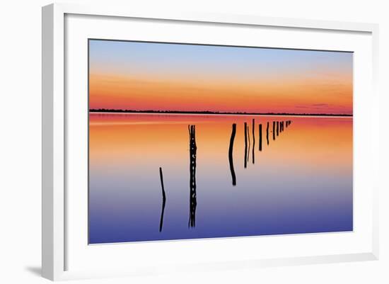 Vanishing Fence Line-Wayne Bradbury-Framed Photographic Print