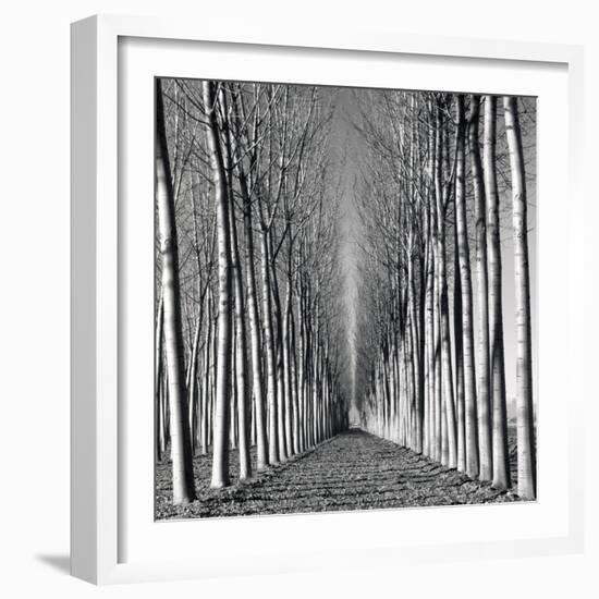 Vanishing Point-Hakan Strand-Framed Giclee Print