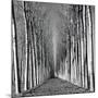 Vanishing Point-Hakan Strand-Mounted Giclee Print