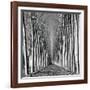 Vanishing Point-Hakan Strand-Framed Giclee Print