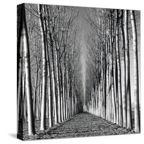 Vanishing Point-Hakan Strand-Stretched Canvas
