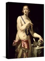 Vanitas, 1662-Pietro Negri-Stretched Canvas