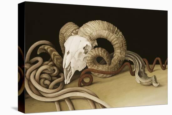 Vanitas, 2004-Jenny Barron-Stretched Canvas