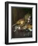 Vanitas Still Life with a Nautilus and a Lute-Matthys Naiveu-Framed Giclee Print