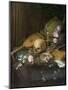 Vanitas Still Life with a Nautilus and a Lute-Matthys Naiveu-Mounted Giclee Print