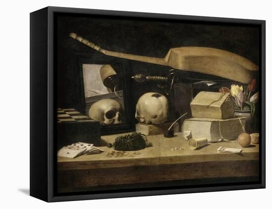 Vanitas-null-Framed Stretched Canvas