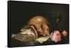 Vanite, Nature Morte Avec Un Crane, Un Livre Et Des Roses - Vanitas Still Life with a Skull, a Book-Jan Davidsz de Heem-Framed Stretched Canvas