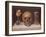 Vanité-Philippe De Champaigne-Framed Giclee Print