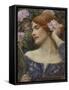 Vanity, C.1910 (Oil on Canvas)-John William Waterhouse-Framed Stretched Canvas