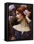 Vanity (Vanitas)-John William Waterhouse-Framed Stretched Canvas