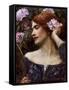 Vanity (Vanitas)-John William Waterhouse-Framed Stretched Canvas