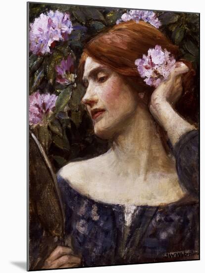 Vanity (Vanitas)-John William Waterhouse-Mounted Giclee Print