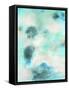 Framed Canvas
