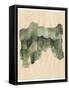 Framed Canvas