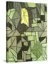 Stretched Canvas