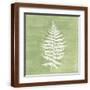 Brown Frame
