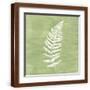 Brown Frame