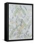 Framed Canvas