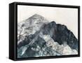 Framed Canvas