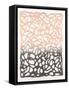 Framed Canvas