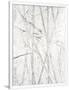 Gramercy White