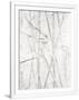 Gramercy White
