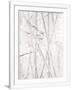 Gramercy White